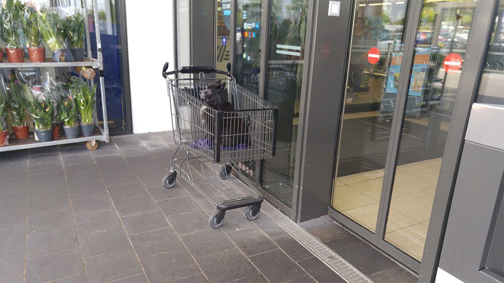 Porte automatique dans un supermarché